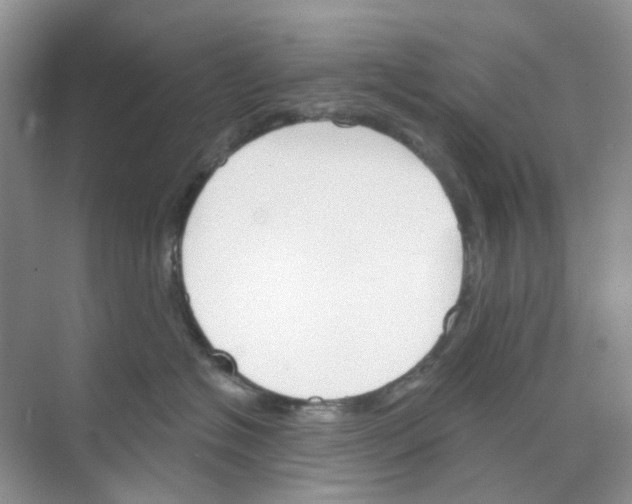 X0000073850574200608312004