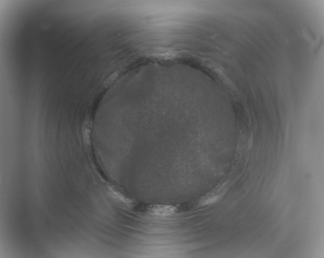 X0000073850576200608312004