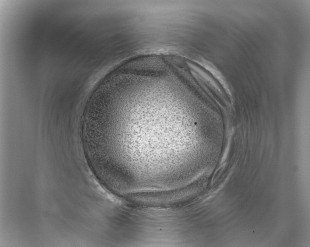 X0000073850577200608312003