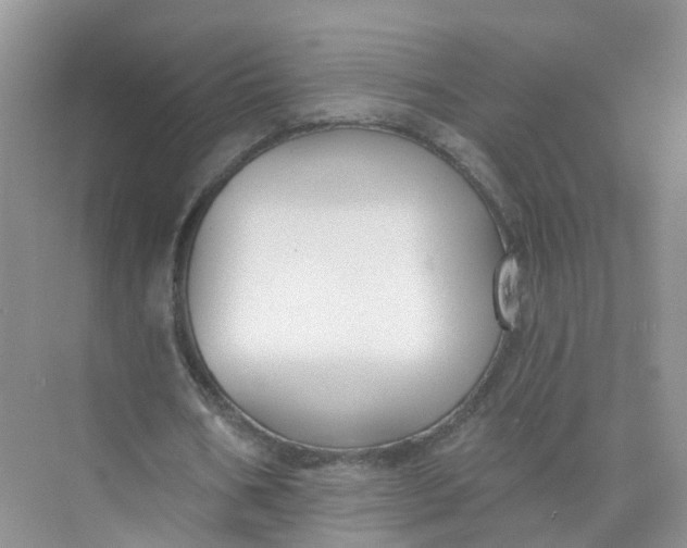 X0000073850578200608312003