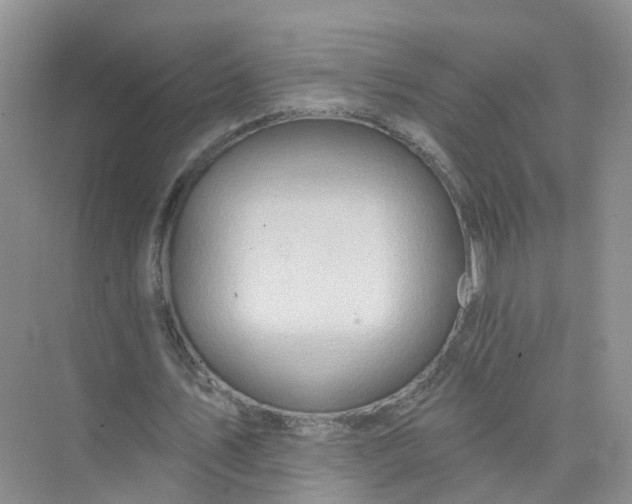 X0000073850579200608312003