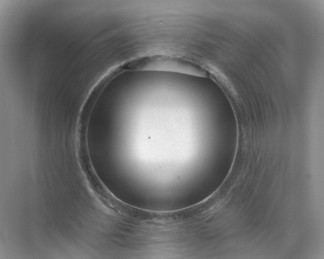 X0000073850580200608312003