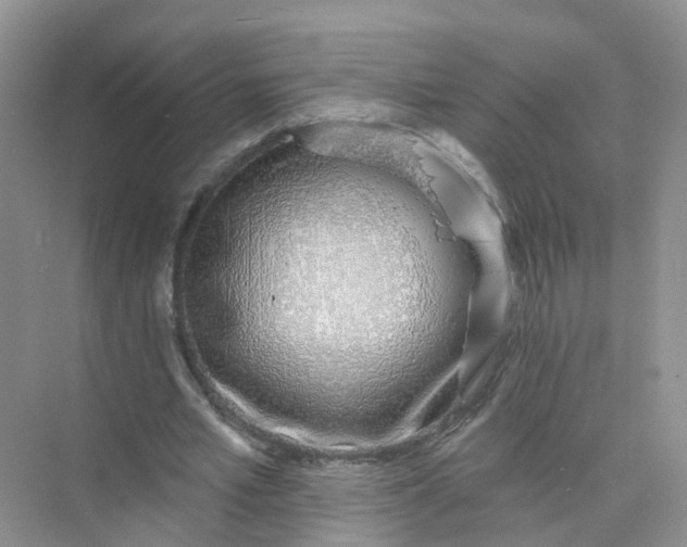 X0000073850581200608312003