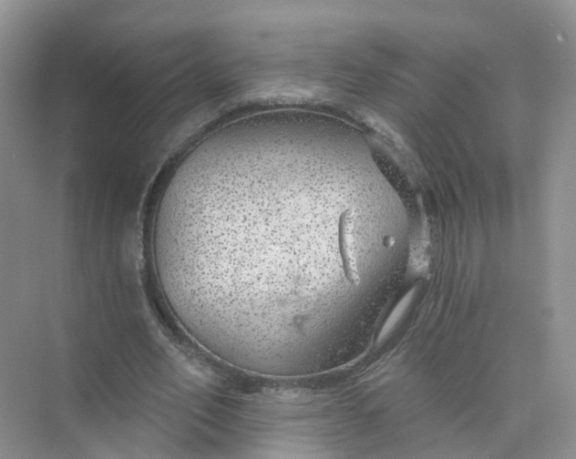 X0000073850582200608312003