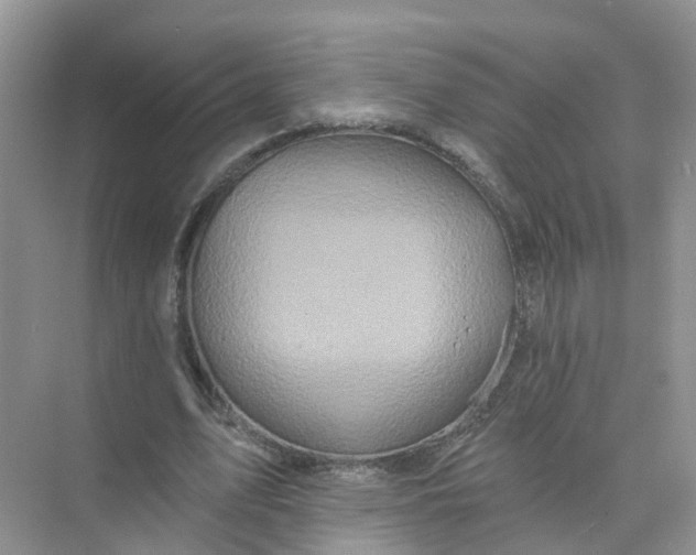 X0000073850583200608312003