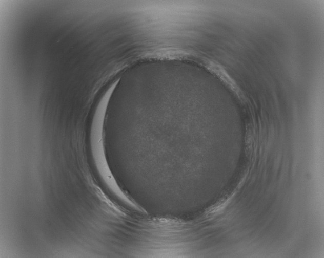 X0000073850585200608312003