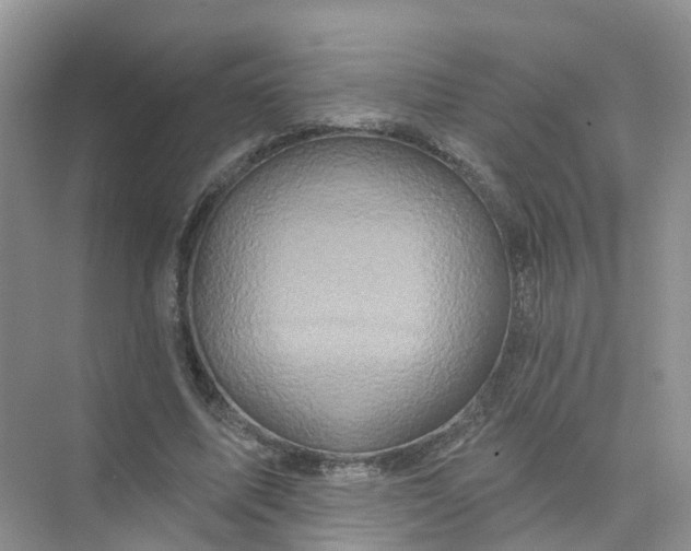 X0000073850587200608312003