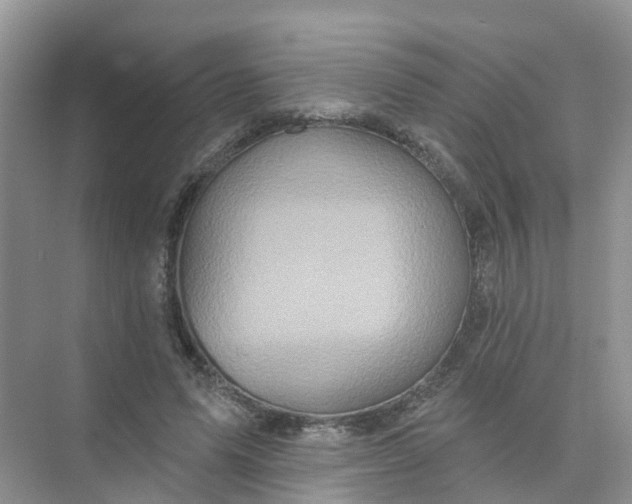 X0000073850591200608312003