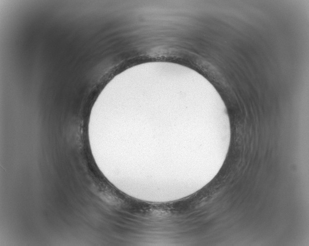 X0000073850592200608312003