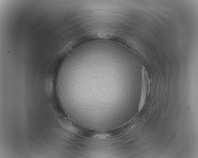 X0000073850595200608312003