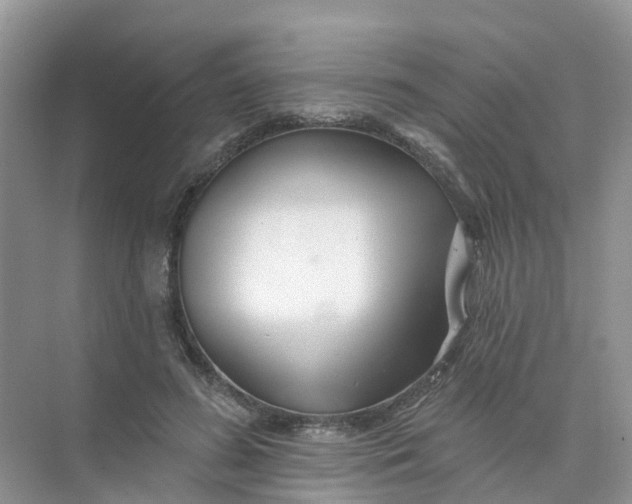 X0000073850596200608312002