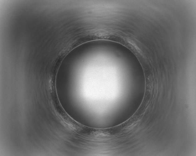 X0000073850597200608312002