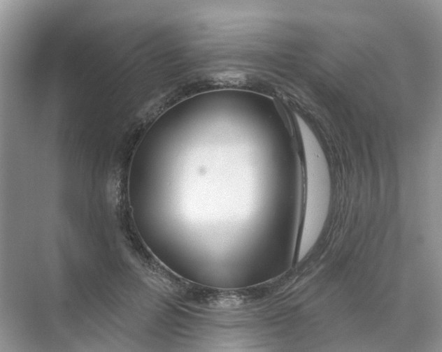 X0000073850600200608312002