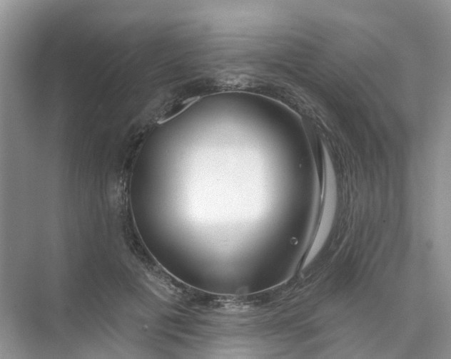 X0000073850601200608312002