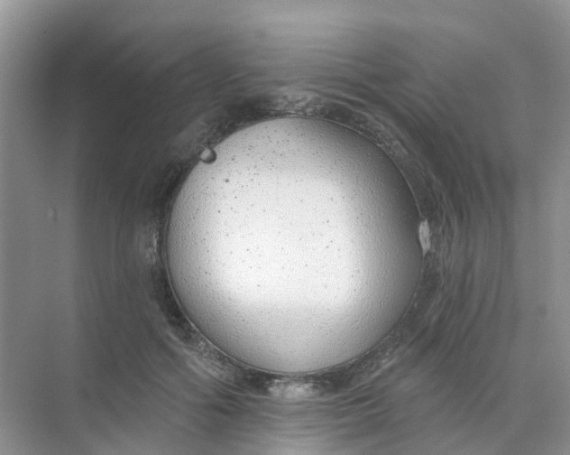 X0000073850602200608312002