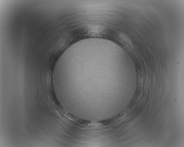 X0000073850603200608312002