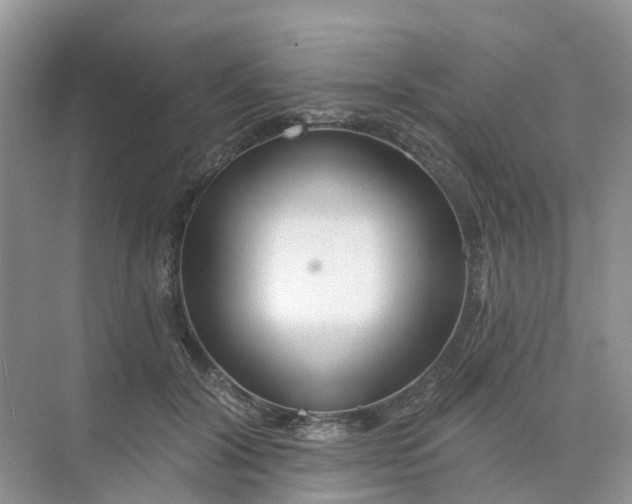 X0000073850604200608312002