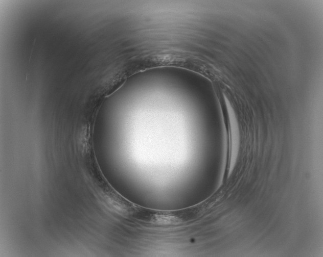 X0000073850605200608312002