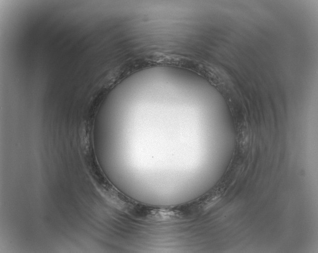 X0000073850607200608312002