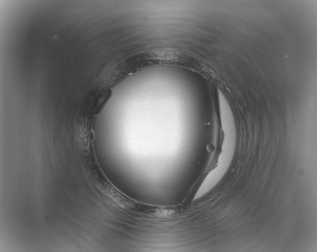 X0000073850609200608312002