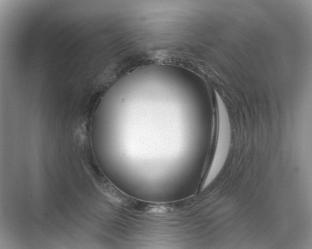 X0000073850611200608312002