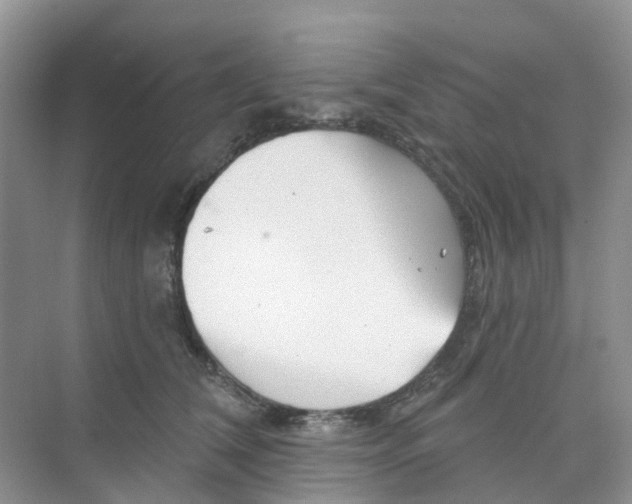 X0000073850612200608312002