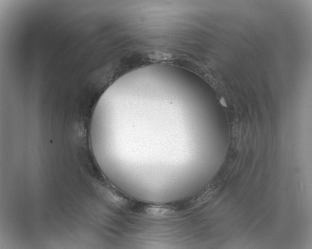 X0000073850614200608312002