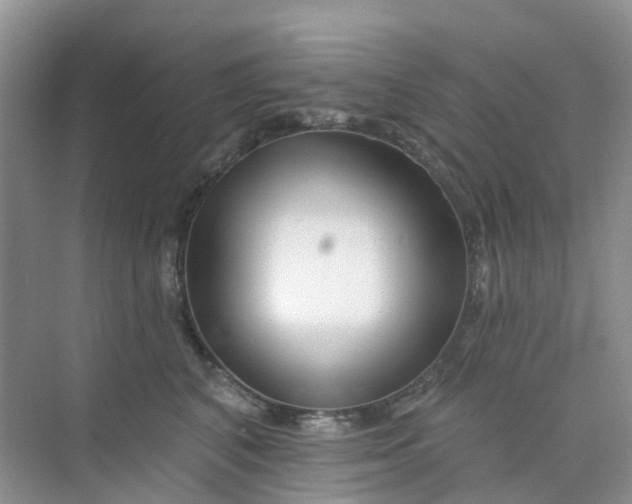 X0000073850616200608312002