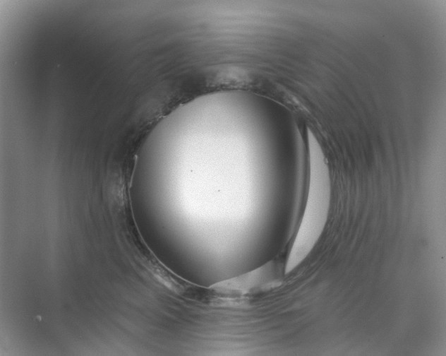 X0000073850617200608312002