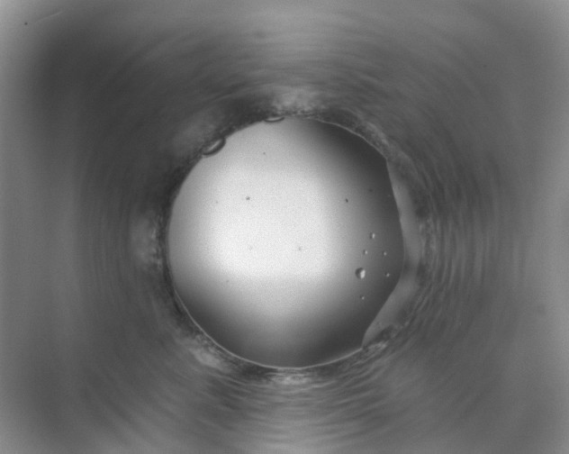 X0000073850619200608312002