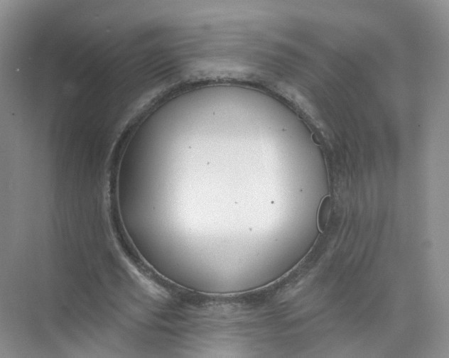 X0000073850629200608312001