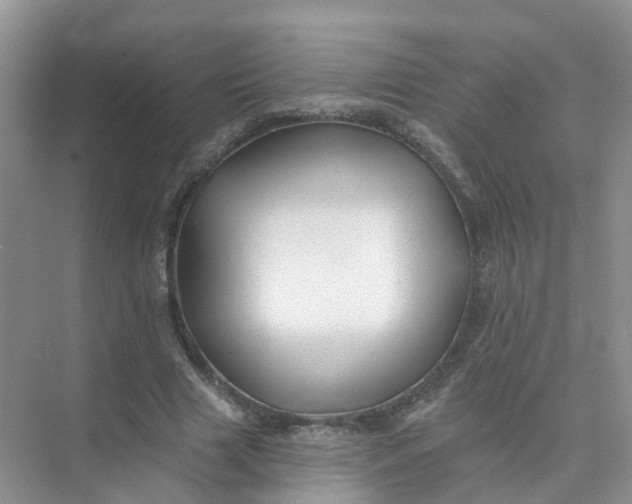 X0000073850633200608312001