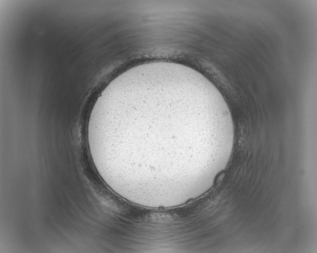 X0000073850636200608312001