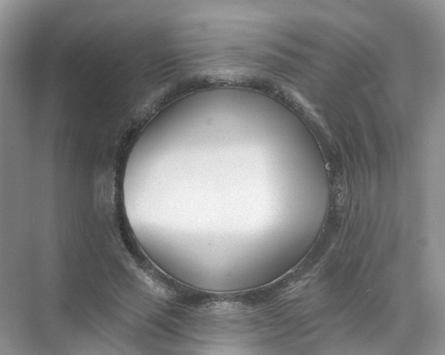 X0000073850637200608312001