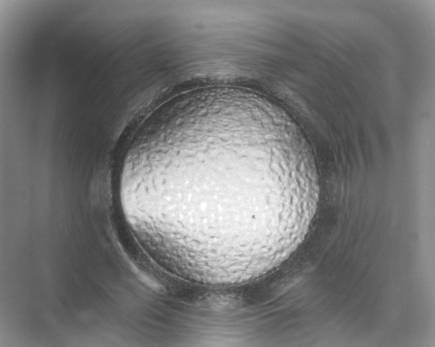 X0000073850638200608312001