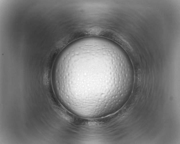 X0000073850641200608312001