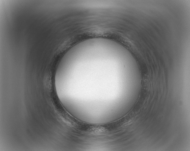 X0000073850642200608312001