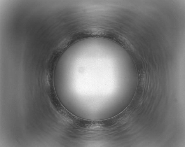 X0000073850643200608312002