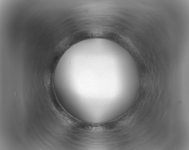 X0000073850645200608312002