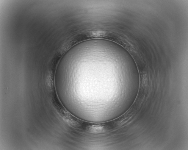 X0000073850651200608312002