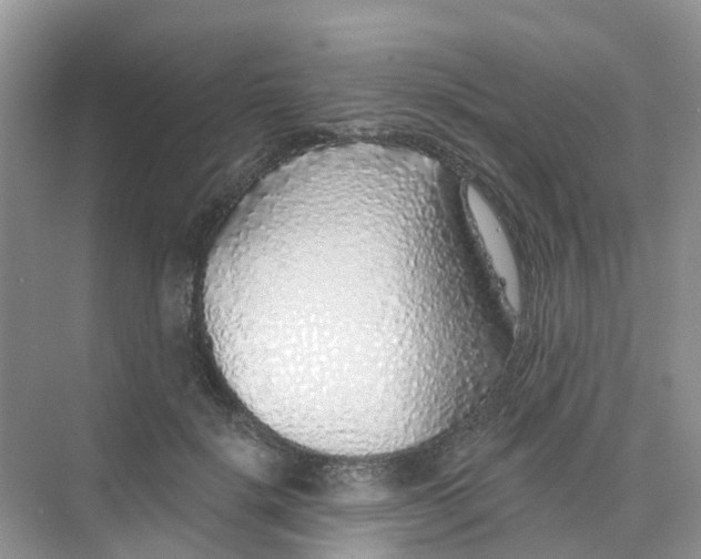 X0000073850652200608312002