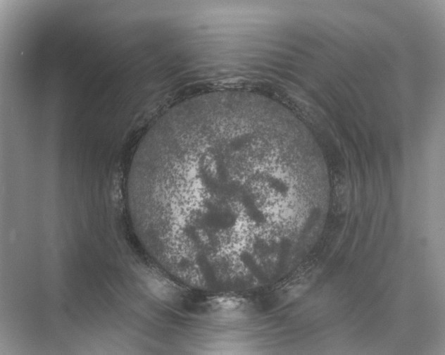 X0000073850654200608312002