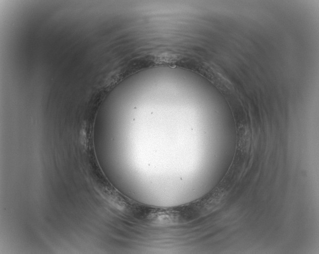 X0000073850655200608312002