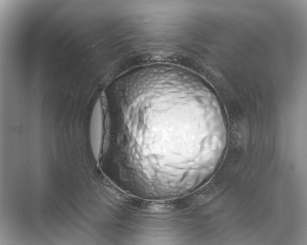 X0000073850657200608312002