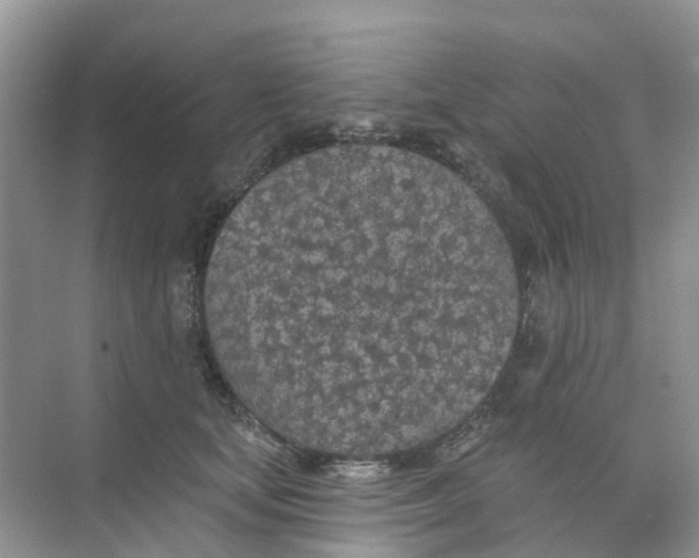 X0000073850659200608312002