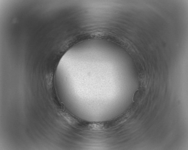 X0000073850660200608312002