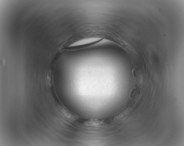 X0000073850661200608312002