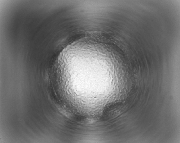 X0000073850662200608312002