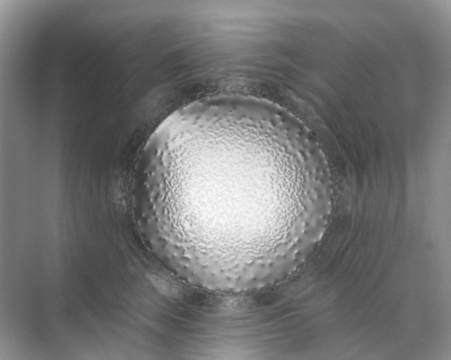 X0000073850663200608312002