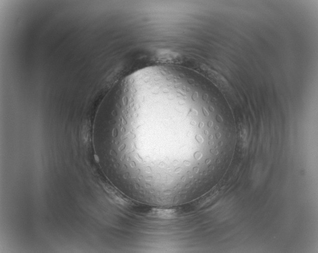 X0000073850665200608312002